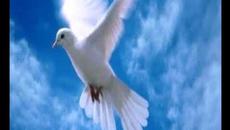 Posveta majci - Videoclip.bg