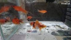 Новите попълнения ❤️ - Videoclip.bg