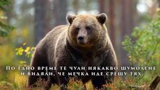 ИСТИНСКОТО ПРИЯТЕЛСТВО - Притча за приятелството то ... Приятелството винаги започва с даване - Videoclip.bg