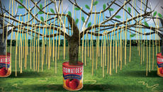 Растат ли спагетите по дърветата?! Шега срещу лъжата - как хуморът ни пази от дезинформация - Videoclip.bg