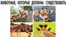 #мемы2022 #мемы #мем #приколы #коты #котики #котята #мемыпро100 #мемыдня #смешныекоты #про100мемы - Videoclip.bg