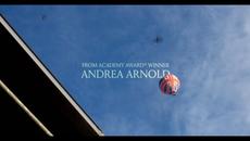 Cow - Official Trailer | HD | IFC Films - Videoclip.bg