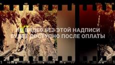 Диви и Щастливи - Videoclip.bg