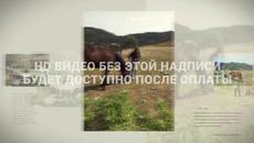 Една проста история...Моята История! Любов - Videoclip.bg