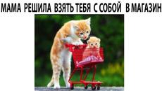 Мемы 2022 - Videoclip.bg