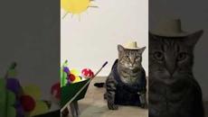 #мемы2022 #мемы #мем #приколы #коты #котики #коти #мемыпро100 #мемыдня #смешныекоты #про100мемы - Videoclip.bg