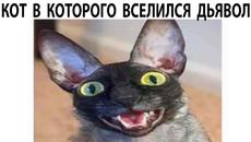 Мемы 2022 ( Про100 мемы ) выпуск 343 - Вызывайте экзорциста - Videoclip.bg