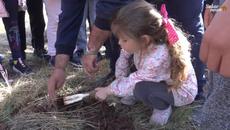 Край Тополовград засадиха 1200 дръвчета - Videoclip.bg