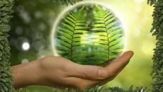 Какви са промените в климата с Google Doodle: Earth Day - shows how planet has changed - Videoclip.bg