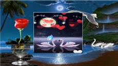 Un fiore per te ( disco italia) - Videoclip.bg