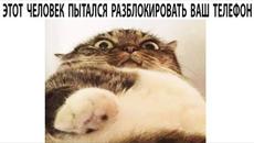 Мемы 2022 ( Про100 мемы ) выпуск 349 - День местного Самоуправления - Videoclip.bg