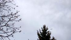 Чайки в небето - Videoclip.bg