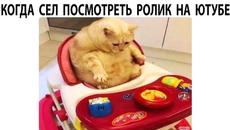 Мемы 2022 - Videoclip.bg