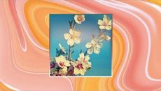 Dani Grigu @ Only Good Vibes (06 March 2022) - Videoclip.bg