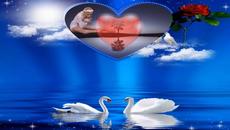 Un fiore per te (Quando nasce un amore) - Videoclip.bg