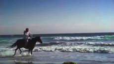 Leonard Cohen Dance Me To The End Of Love - Videoclip.bg