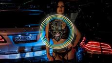 HAIDER HAlDER - TikTok Song (Monkey Nation Remix) - Videoclip.bg