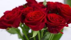 Музыка для души (Цветы распускаются под вальс)! Самая Красивая Музыка на Свете! Сергея Чекалина - Videoclip.bg