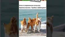 Лютые приколы и мемы #приколы #лютыеприколы #мемы2022 #юмор - Videoclip.bg