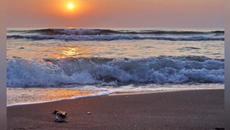 Антоан Антонов  Песен за Кати + НА НА НА Кати - Videoclip.bg