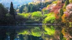 Небесни Мелодии ❤️ Paul Mauriat - Isadora ❤️  instrumental - Videoclip.bg