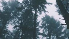 Мисъл ♛ Painful Thoughts - Videoclip.bg