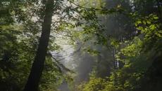 Слънчеви утрини ❤️ Peder B. Helland - Sunny Mornings ❤️ - Videoclip.bg