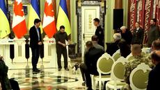 Patron, Ukraine’s Bomb-Sniffing Dog, Awarded for His Heroism - Videoclip.bg