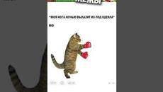 Мемы 2022 ( Тут Про100 мемы и короткие приколы с котами ) Подборка мемов 374 - В гостях у бабули - Videoclip.bg