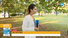 Домашно куче беше пребито до смърт в София - Здравей, България (07.07.2022) - Videoclip.bg