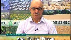 Имигранти, насам! Тук е рай, има и работа! - Videoclip.bg