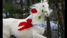 Евгений Озерный  -  КОНЬ БУРАН  2022г - Videoclip.bg