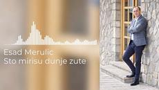 ESAD MERULIC - STO MIRISU DUNJE ZUTE (OFFICIAL AUDIO) 2022 - Videoclip.bg