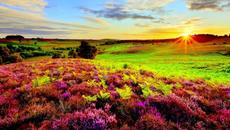 ✿ Пейзажи с цветя в планината ✿ - Videoclip.bg