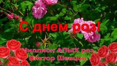 21 мая   Всемирный День Роз - Videoclip.bg