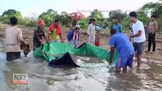 Fishermen Catch Huge Stingray in Cambodia - Videoclip.bg