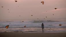 Когато Магията ме напусна S ღ 1 ♛ Standard Selection Blues Band ♛ The magic has desserted me ПРЕВОД - Videoclip.bg