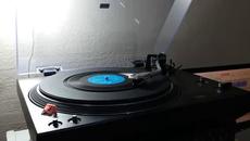 Снежка Добрева (1965) - Сините люлки - Videoclip.bg