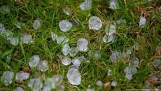 Градушки над България 31 май 2022 г. - Градушка удари Садово, реколтата е унищожена - Videoclip.bg