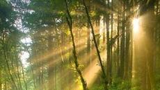 Звукът на любовта - THE SOUND OF LOVE  ' Out Of There ' ПРЕВОД - Videoclip.bg