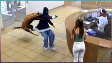 35 Hero Animals that Saved Human Lives ! - Videoclip.bg