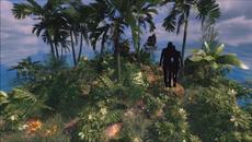 Someone You Loved (lambada francesa) - Videoclip.bg