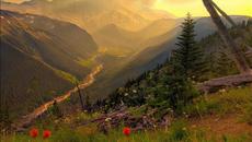 Fairytale - Videoclip.bg