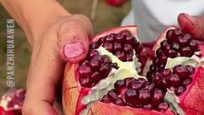 РЯЗАНЕ НА АНАНАС, НАР И ДРУГИ ПЛОДОВЕ - Videoclip.bg