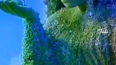 АКО ЗЕМЯТА МОЖЕШЕ ДА ГОВОРИ - Videoclip.bg