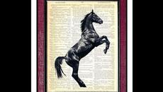 Palace Music · Riding · Lost Blues and Other Songs Version - Videoclip.bg