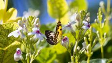 Музыка дающая энергию! Это Безумно Красивая Мелодия, Эту музыку можно слушать вечно - Videoclip.bg