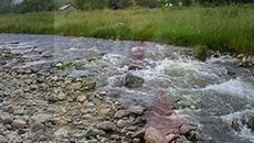 Дуо Сладко Медено - На сърце ми лежи - Videoclip.bg