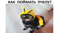 Лютые приколы и мемы #приколы #лютыеприколы #мемы2022 #юмор #мемыпро100 - Videoclip.bg