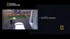 Екстремни климатични явления - Fun Scene - Videoclip.bg